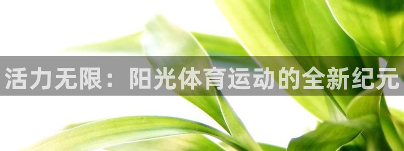 3377体育官网下载官方客服电话:活力无限:阳光体育运动的全