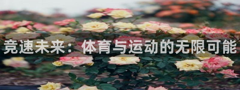 3377体育官网下载官方客服电话:竞速未来:体育与运动的无限